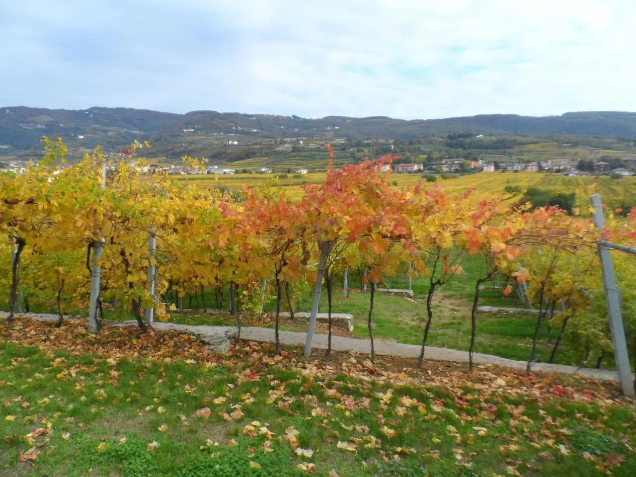 Hotel Villa Moron Negrar 3*,